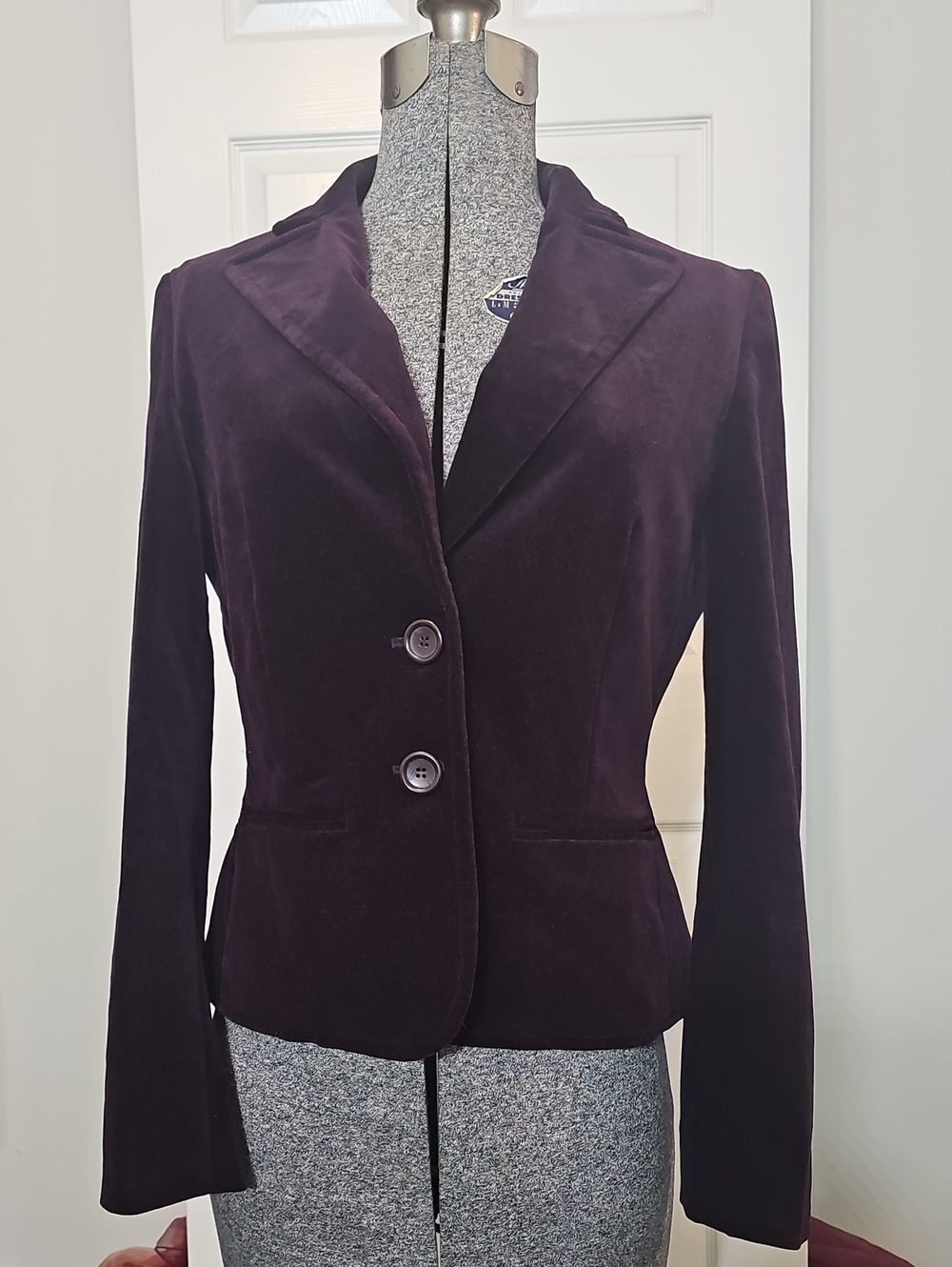 Express Plum Purple Cotton Velvet Blazer Size 6